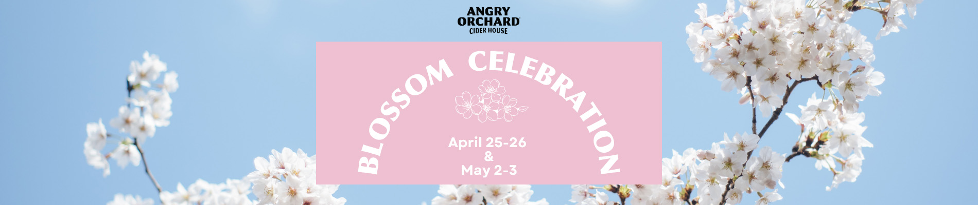 Blossom Celebration at the Angry Orchard Cider House