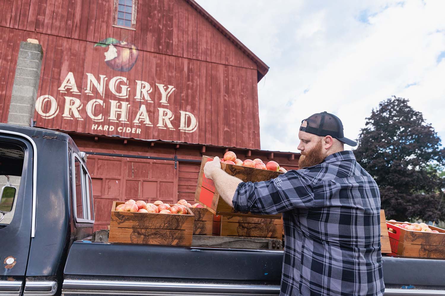 Angry Orchard Apples