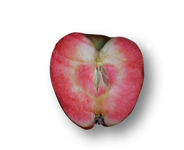 Apple varieties include: Gala, Beden, Granny Smith, Red Delicious, Amerede Berthecourt, Binet Rouge, Medailled