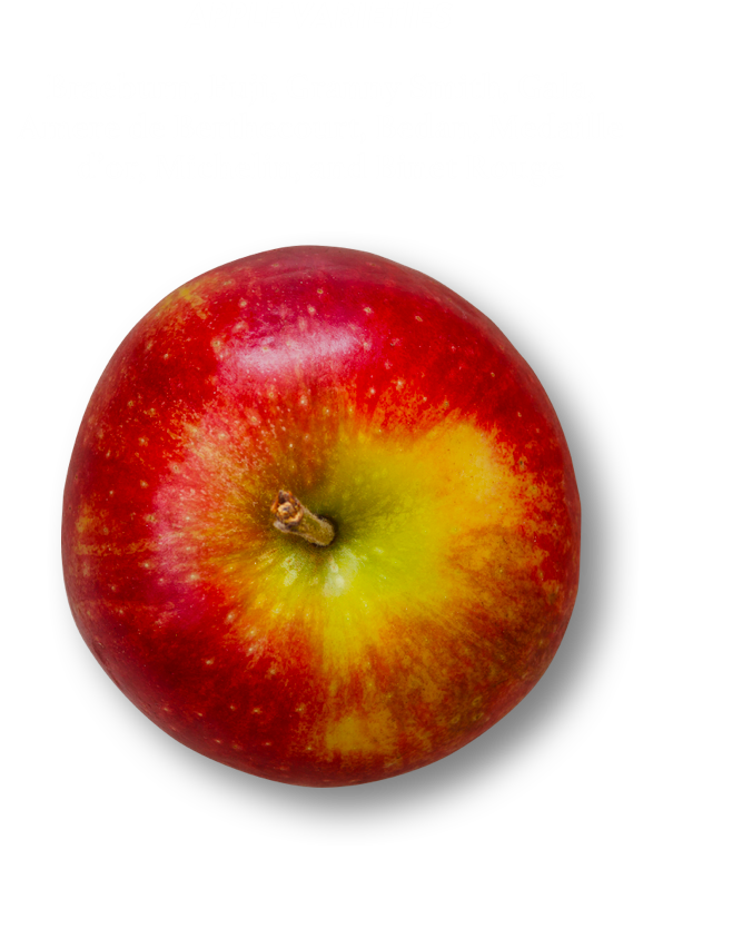 Apple varieties include: Braeburn, Fuji, Granny Smith, Gala, Amere De Berthecourt, Bedan, Medaille D’Or, Michelin, and Binet Rouge