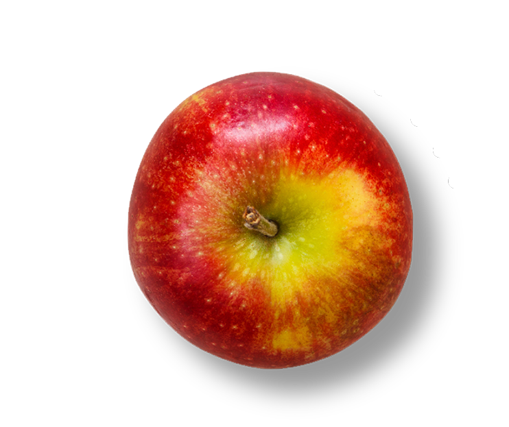 hardcore dark cherry apple - apple varieties