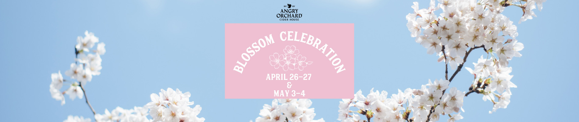 blossom celebration