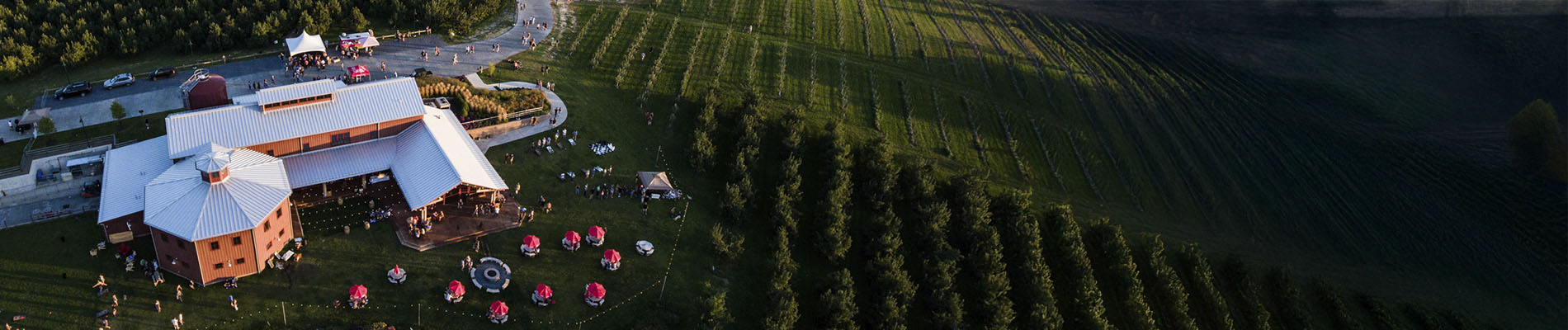 Angry Orchard Community Harvest Fest
