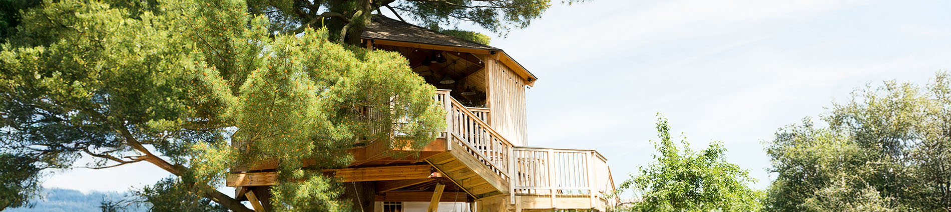treehouse tasting experience